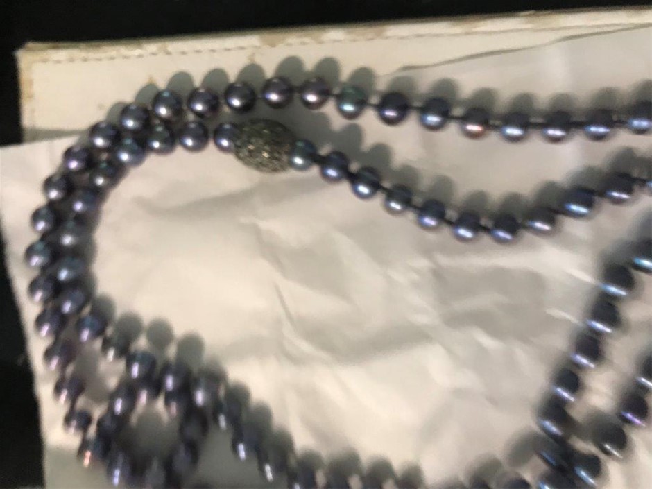 9ft Storage Container (Unused)