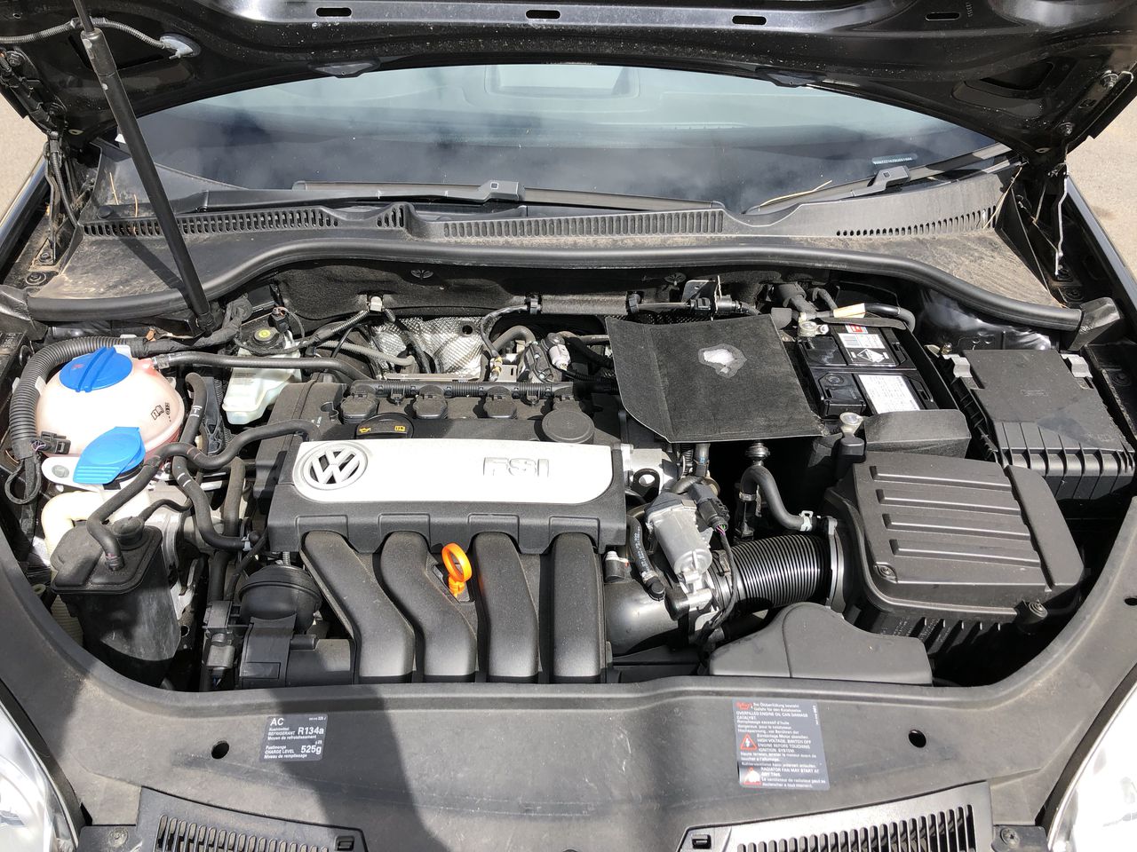 8sqft Top Grade Green Colour Split Suede Pig Hide