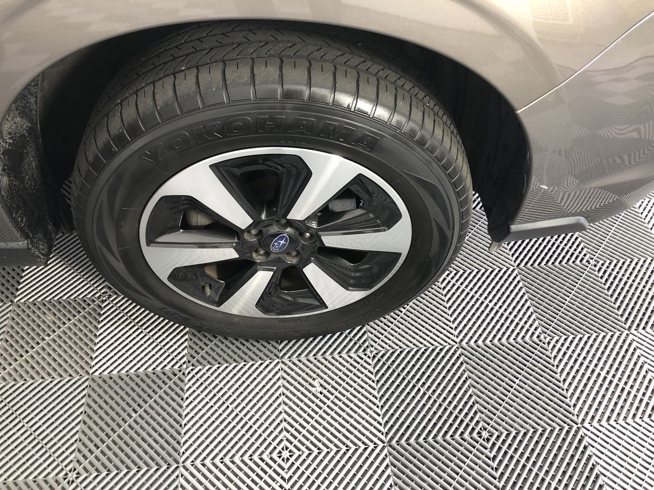 <p>Worldpoly Carriage and Inserts</p>