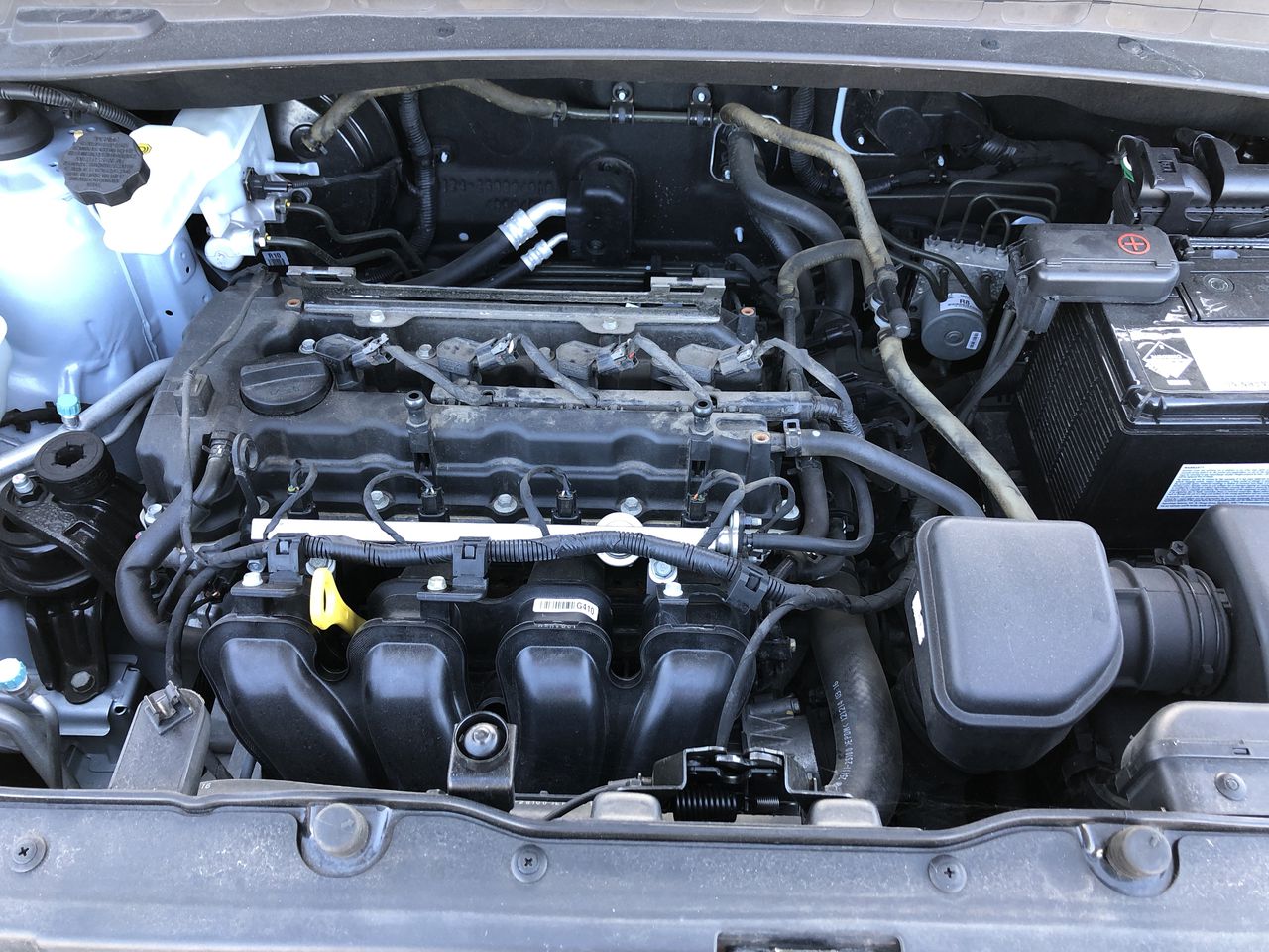 The Drover Shiraz Cabernet 2024 (6x 750mL) SEA