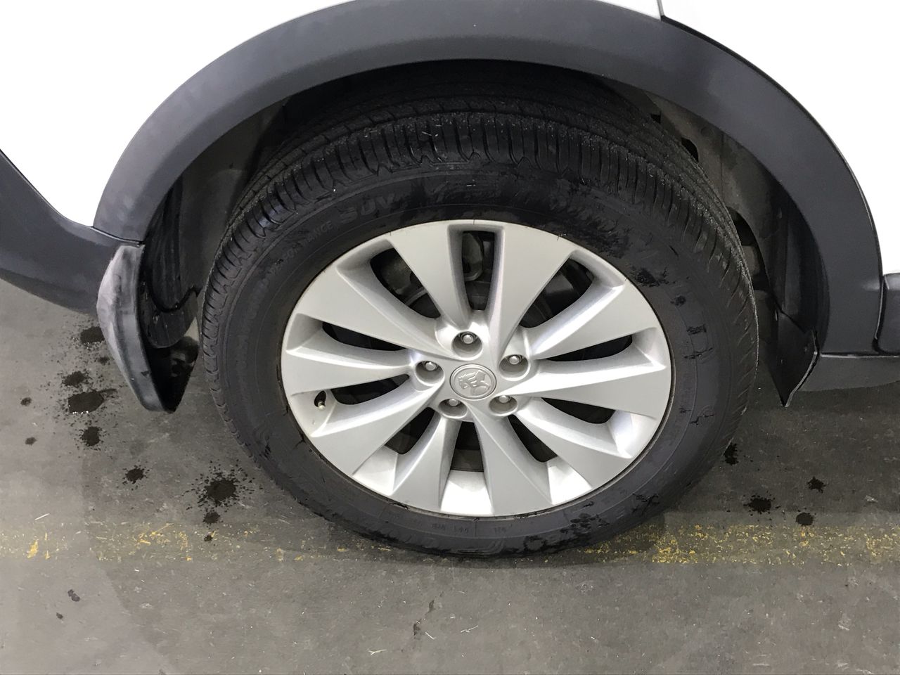 Fishbone Blue Chenin Blanc 2025 (6x 750mL) Geographe