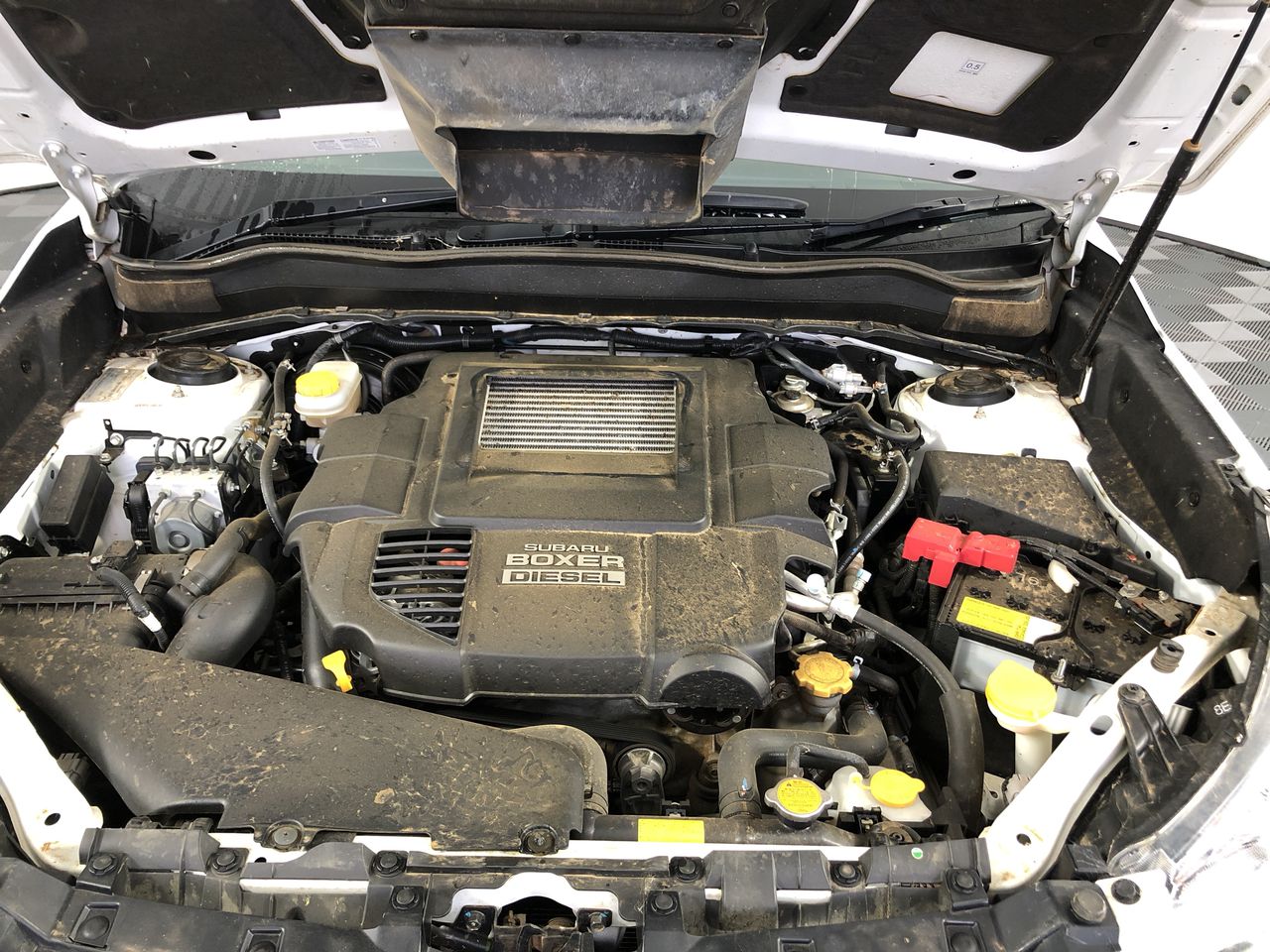 Tread Softly Pinot Grigio Bagnum NV (6x 1.5L) SA 