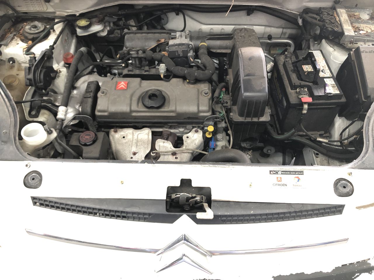 BIJ'OR-18ct Heavy Rose Gold Plated, 66mm Wide Plain Bangle - USA,RRP $125