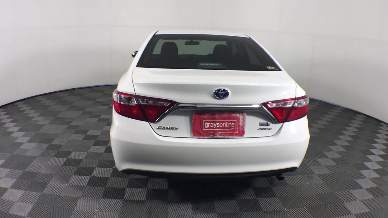 2 Monkeys Chardonnay 2025 (12x 750mL) SEA