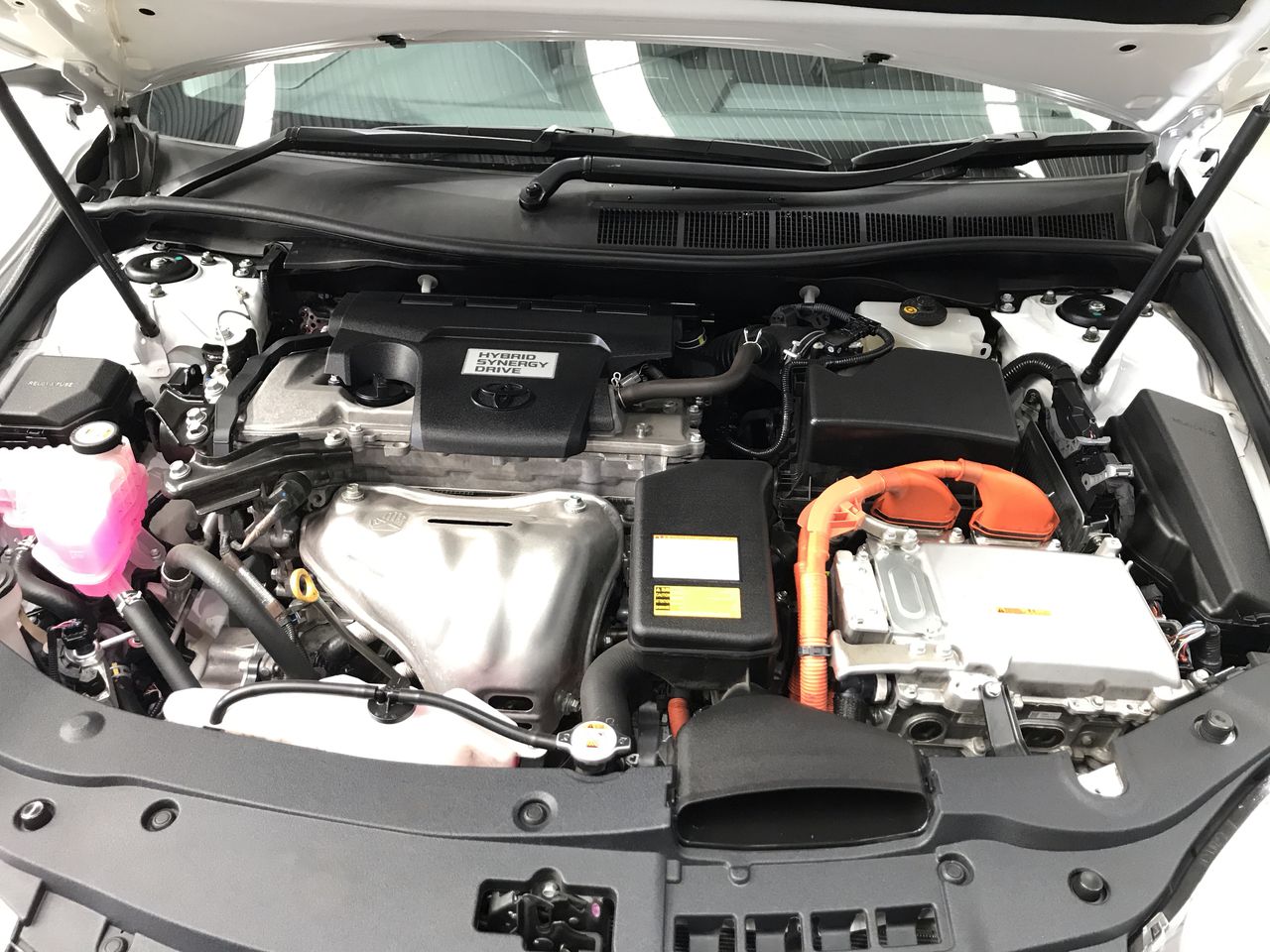 2 Monkeys Sauvignon Blanc 2025 (12x 750mL) SA