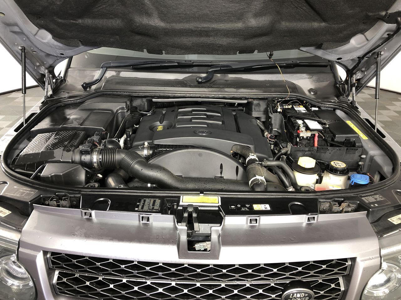 Stalking Horse Shiraz 2021 (12x 750mL) Langhorne Creek, SA