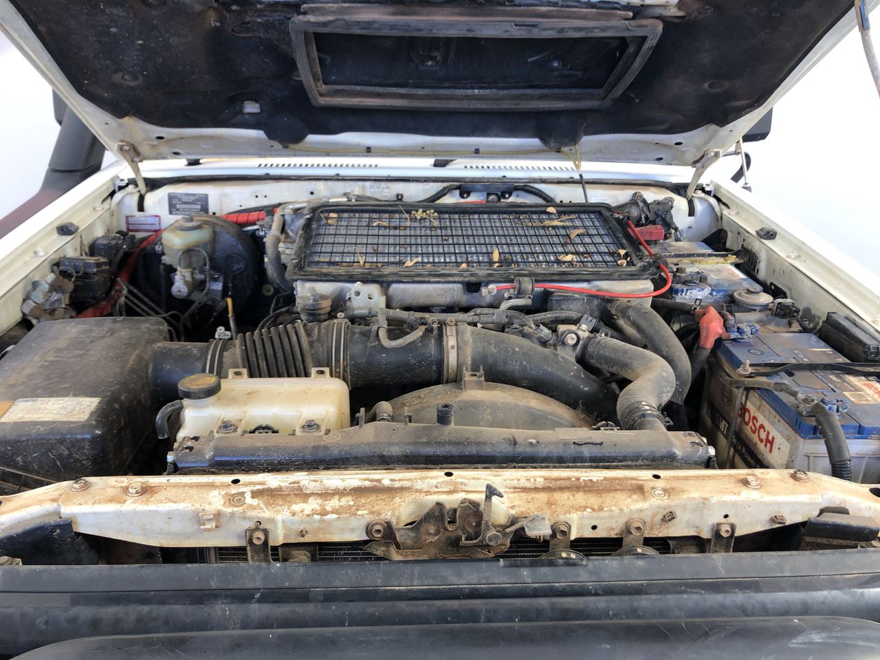 Classic 30mm Stainless Steel Hoop Earrings - Yellow