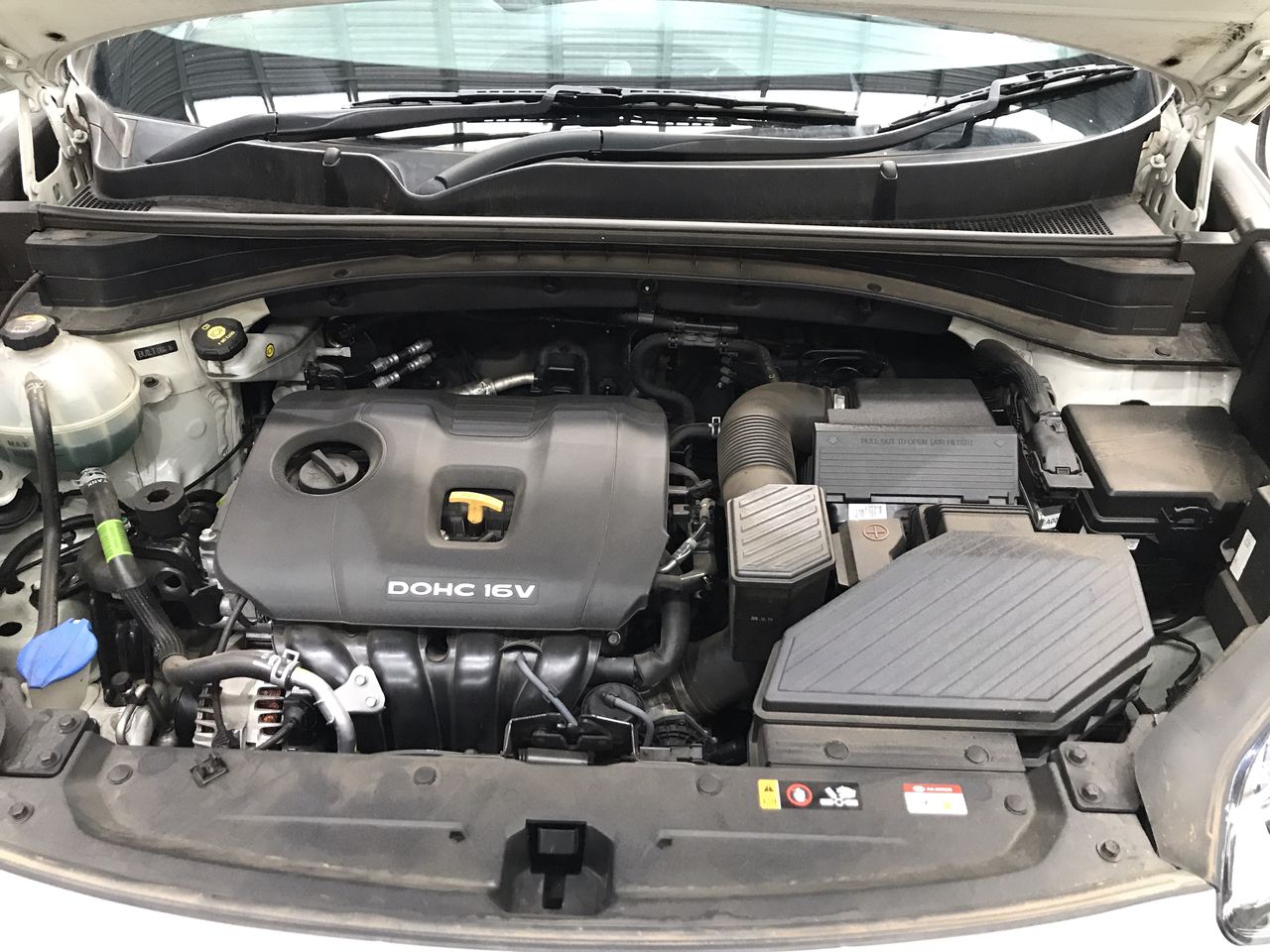 Lost Sheep Chardonnay 2025 (12x 750mL) SEA