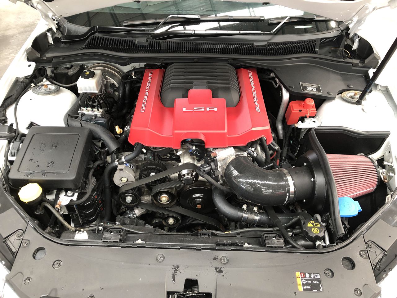 ROLEX OYSTER PERPETUAL 41 41MM STAINLESS STEEL 124300 GREEN DIAL BXP & COA