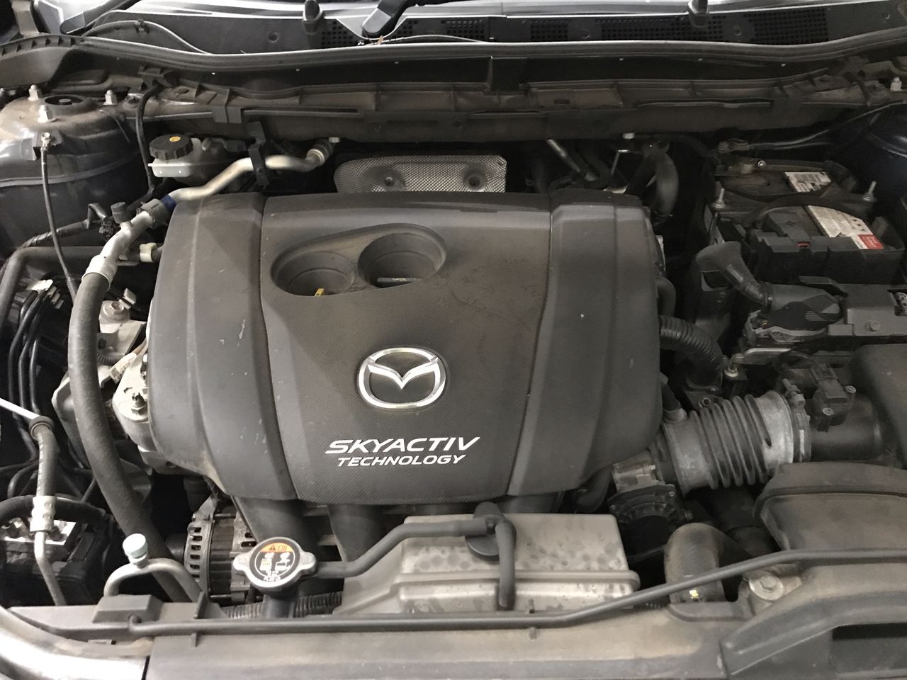 Shared Tempranillo 2021 (6x 750mL) SA