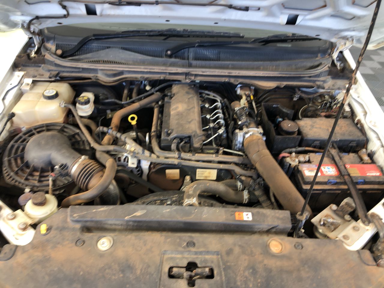 PUMA Women's Vikky Star OG Shoes, Size US9, White/Maroon (03), 214844.