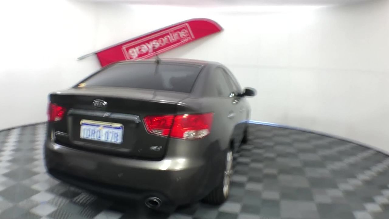 Cute Cat Earrings in Gold