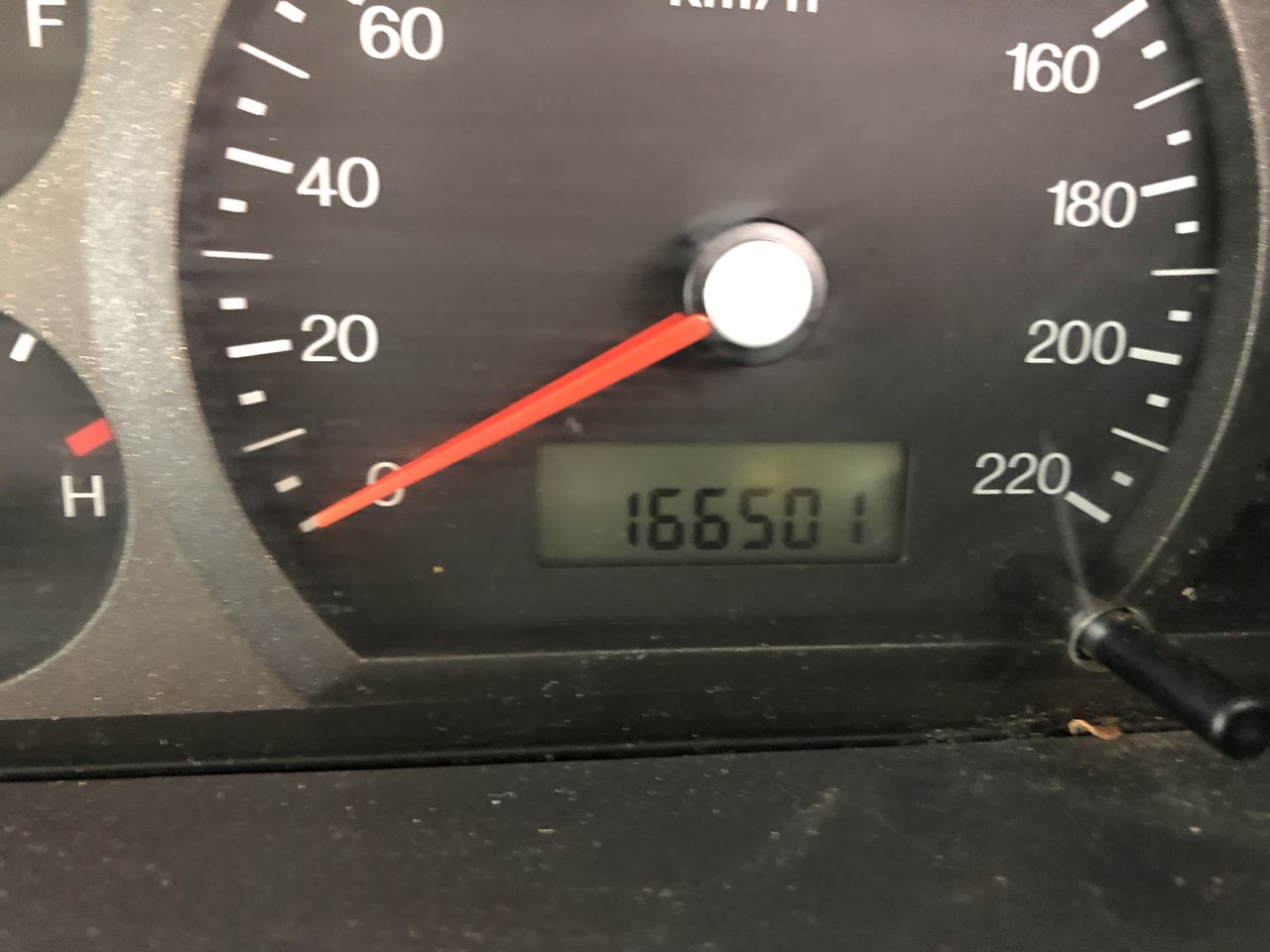 Stunning 18ct Yellow Gold Plated Cleopatra Pendant