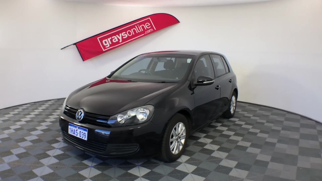 Set of 2 Large Wrought Iron Style Gates with Wildlife Scene (Unused)