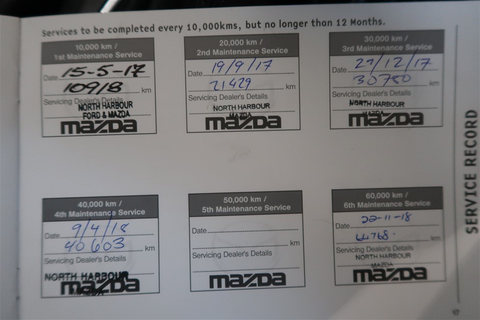 18k White Gold Filled, White Face Iced Out Diamond Quartz Wrist Watch