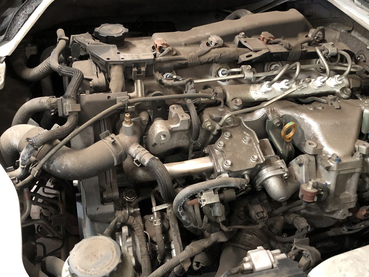 Traveller Chardonnay 2019 (12x 750mL) SEA