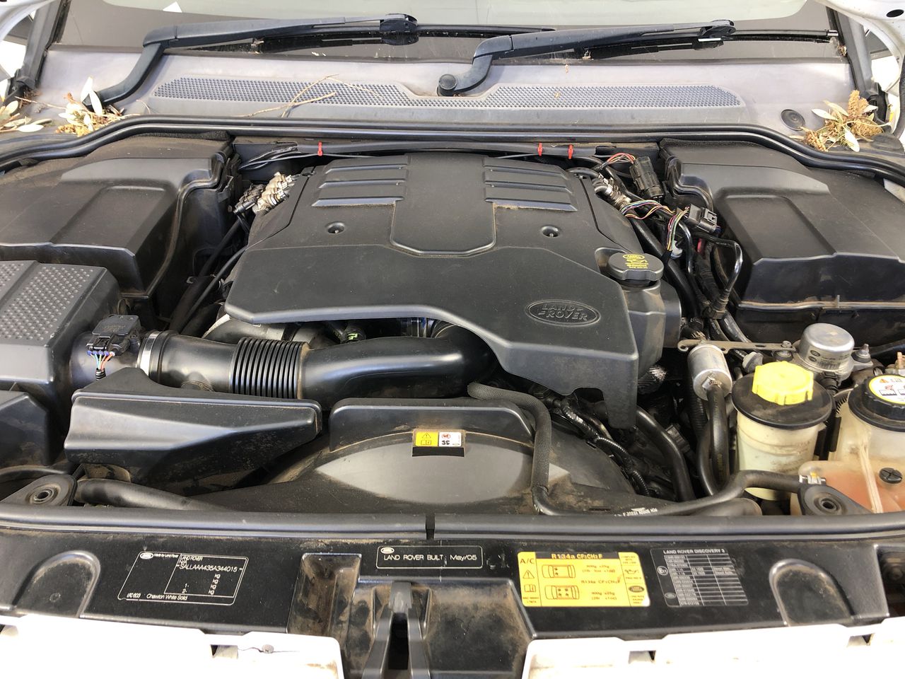 DKNY Women's Distressed Crackle Logo Leggings, Size M, 90% Cotton, Black/Go