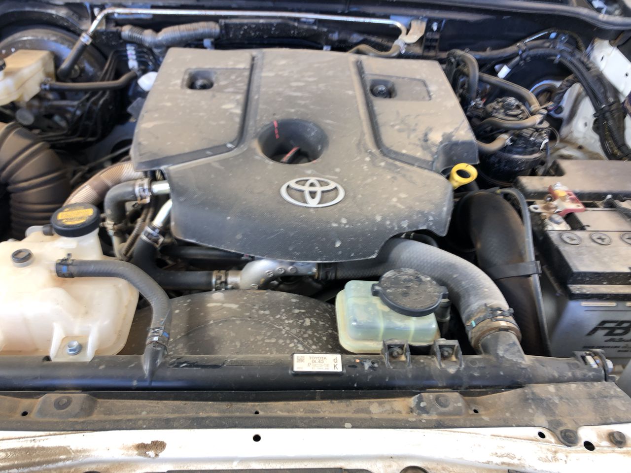 CONVERSE Unisex DayOne Classic Shoes, Size m7/w8.5 (EU40), Green/White, A16