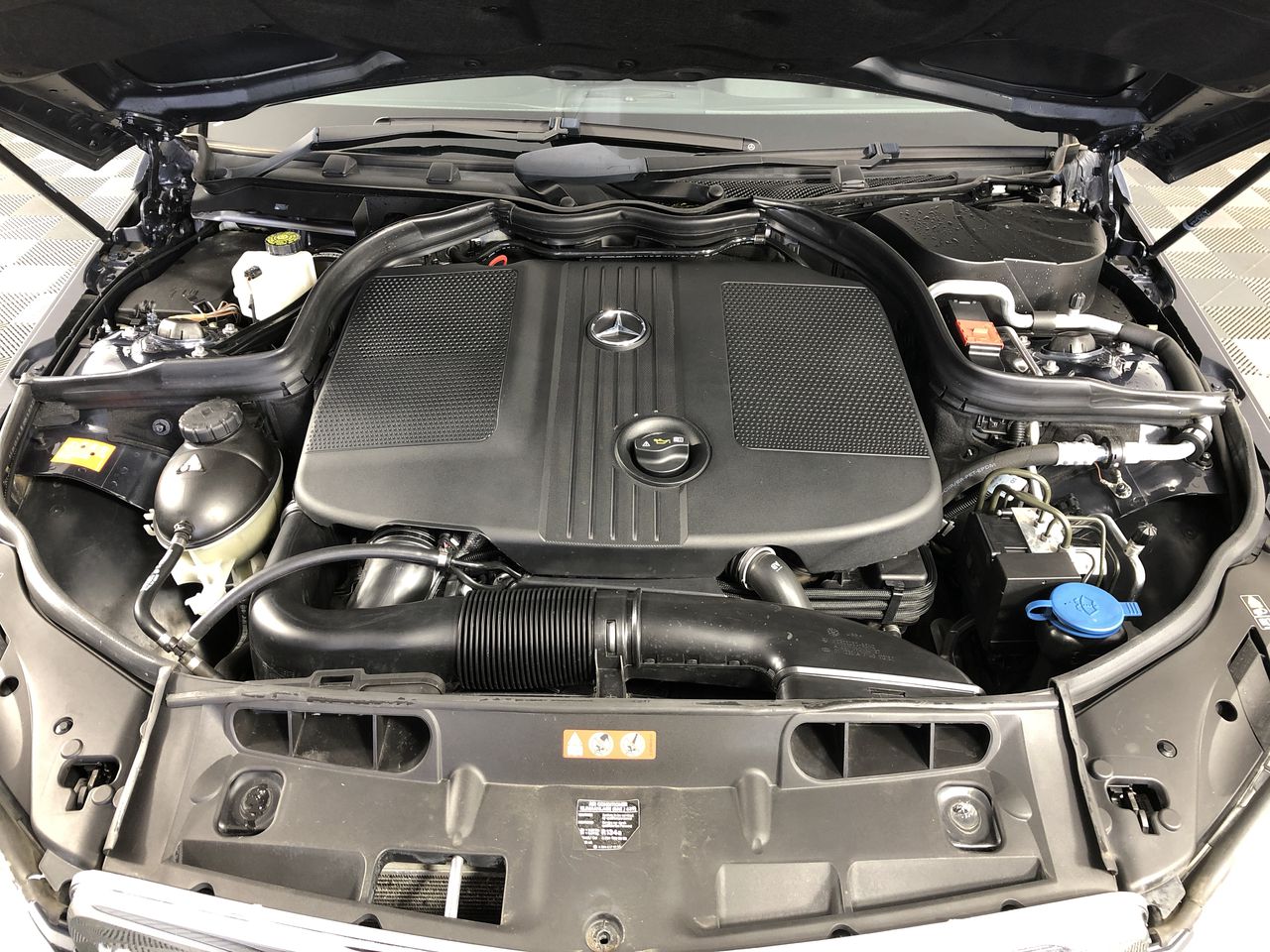 Shoes and Belt . Others