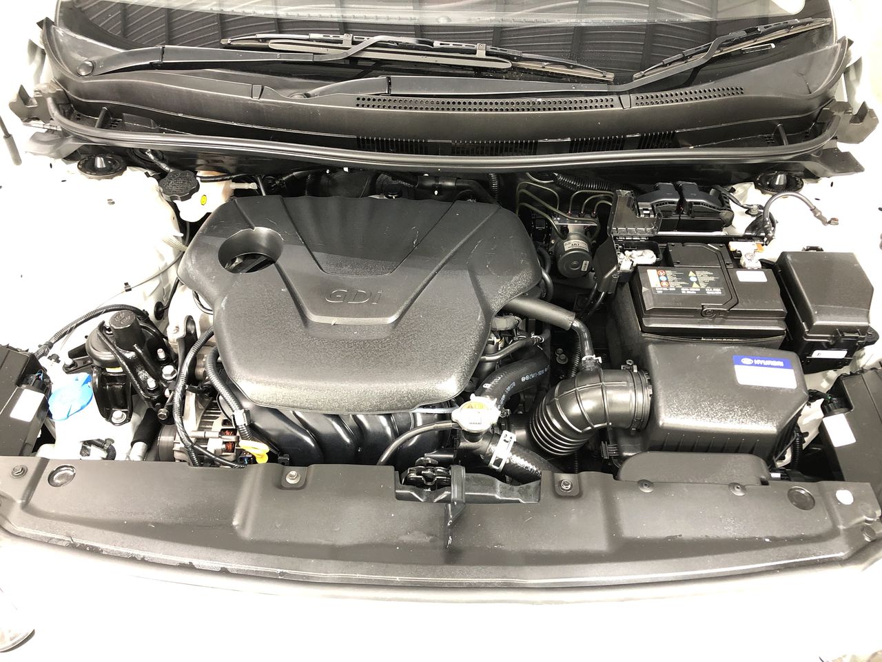 Wild Folk A Block Shiraz 2023 (12x 750mL) SA