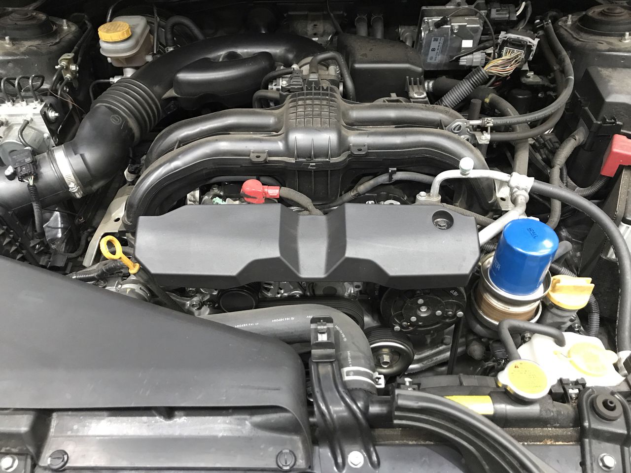 Mosca Rose 2023 (6x 750mL), Margaret River, WA