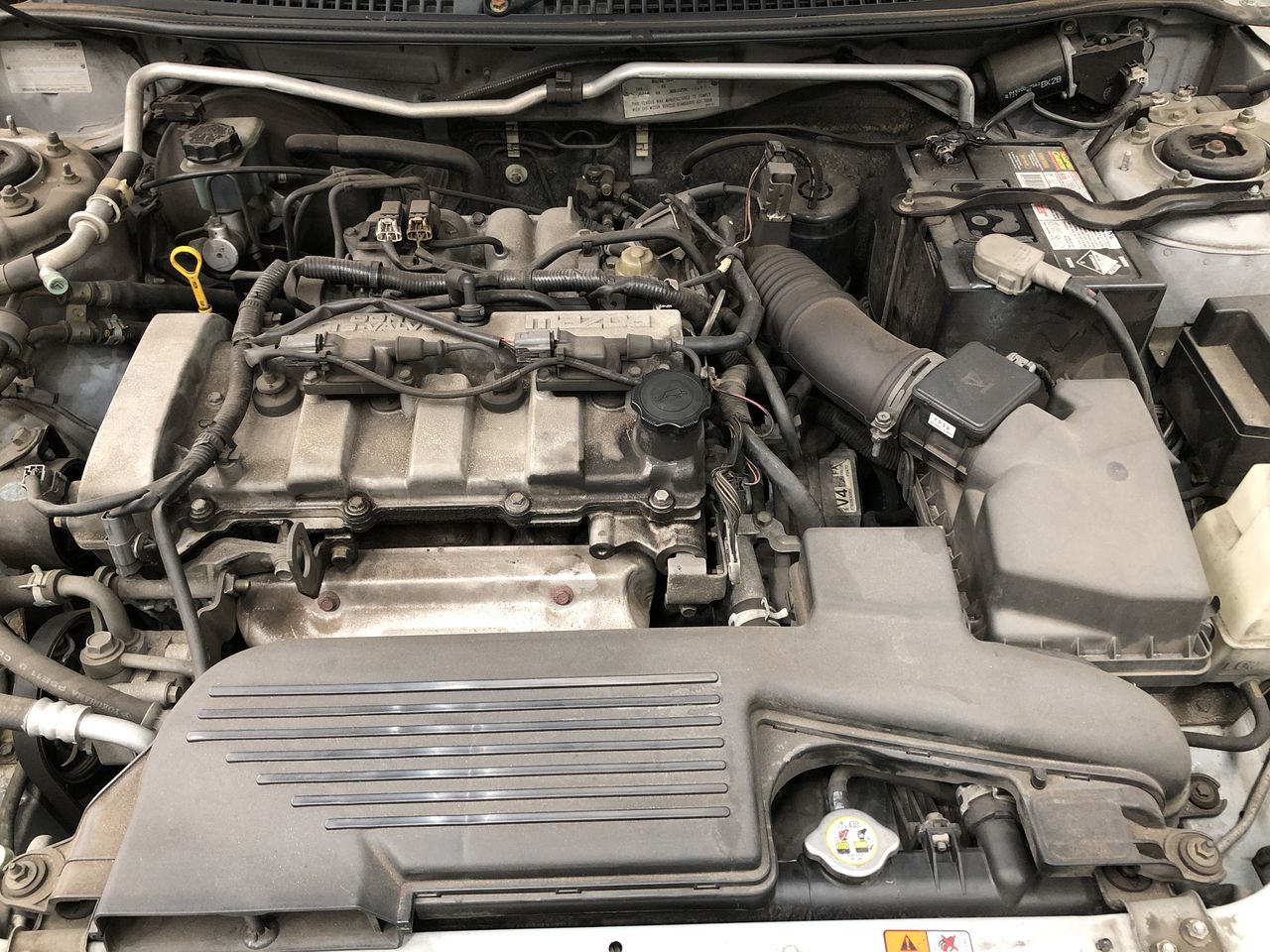 Byrne Family Australia RSG Vine Dried Shiraz 2021 (12x 750mL) SA