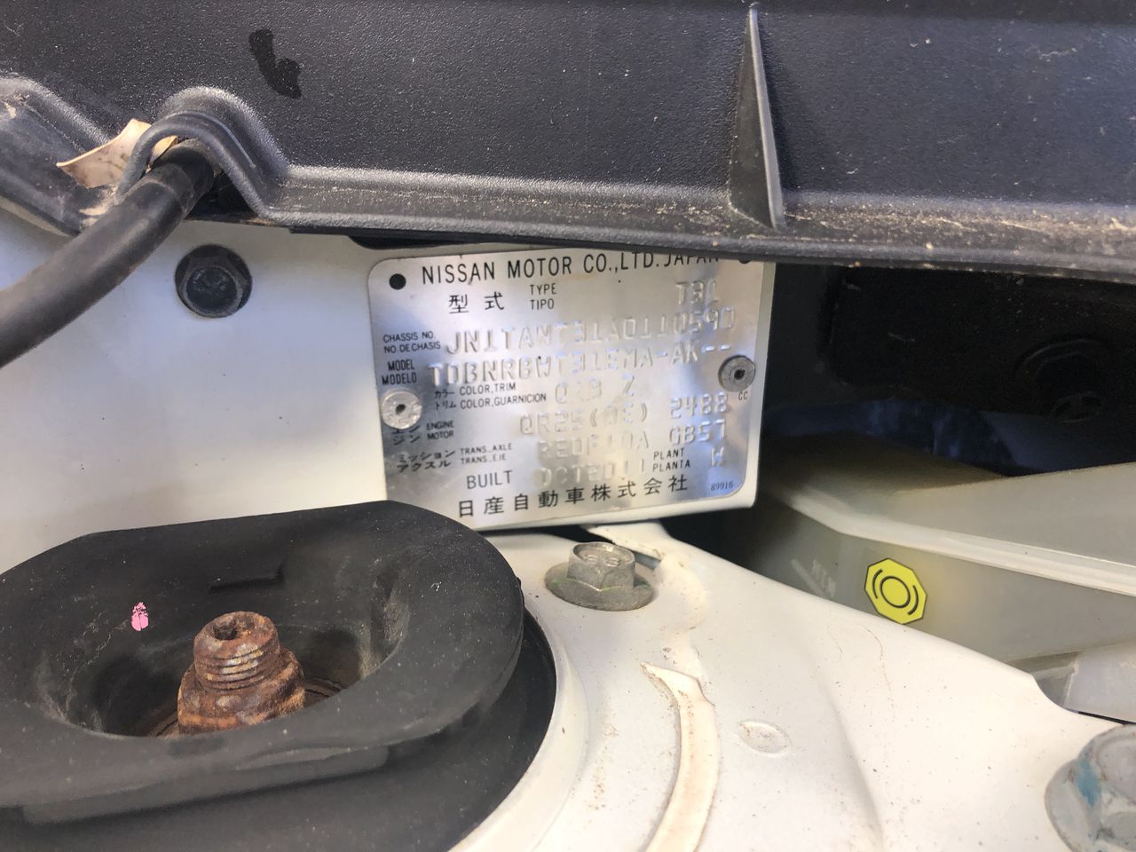 Reuseable Wire Mesh Vermin Traps