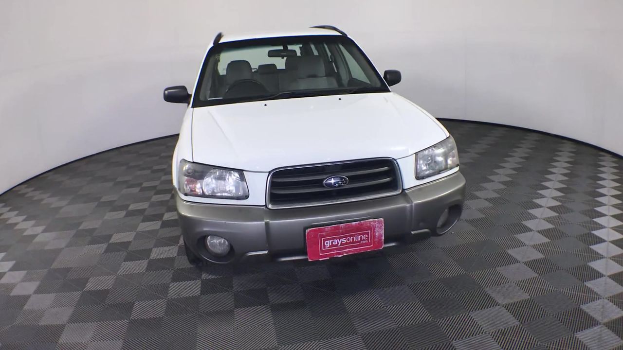 7-8mm & Blister Pearl with Gold Trimming Beaded Necklace