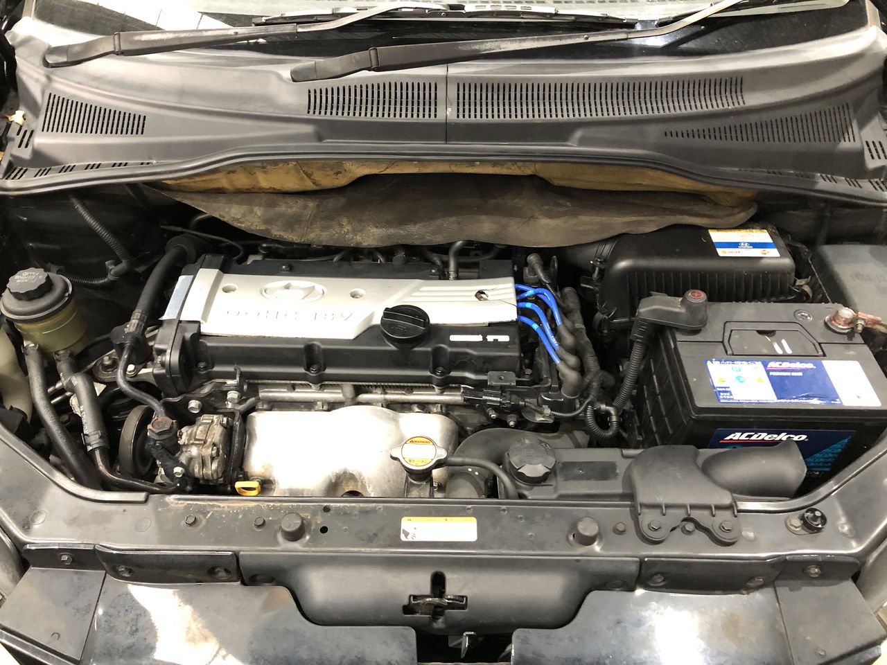 BIJ'OR - Designer Purple Freshwater Pearl Triple Drop Earrings RRP $59