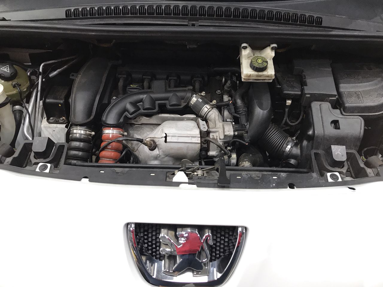 ALEC MONOPOLY (after) "Ritchie Rich" canvas