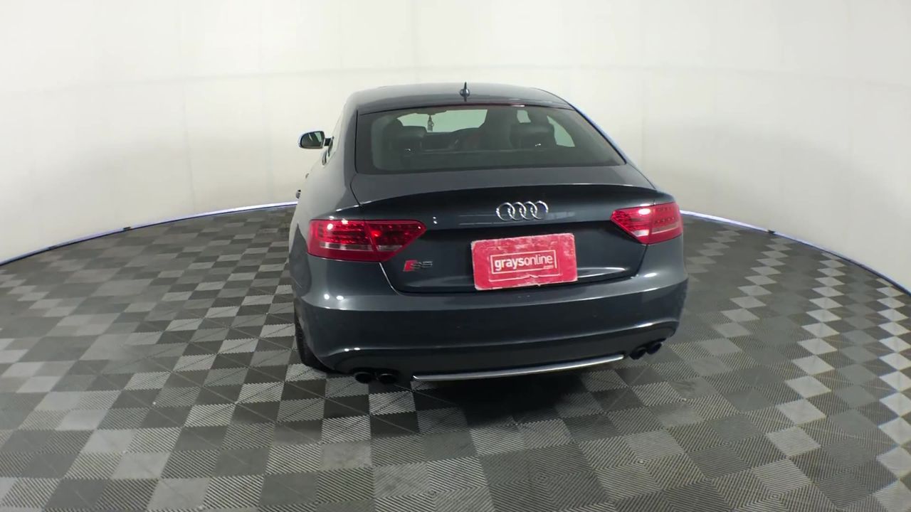 Very rare Microbialite Isua 3.77 billion year Greenland