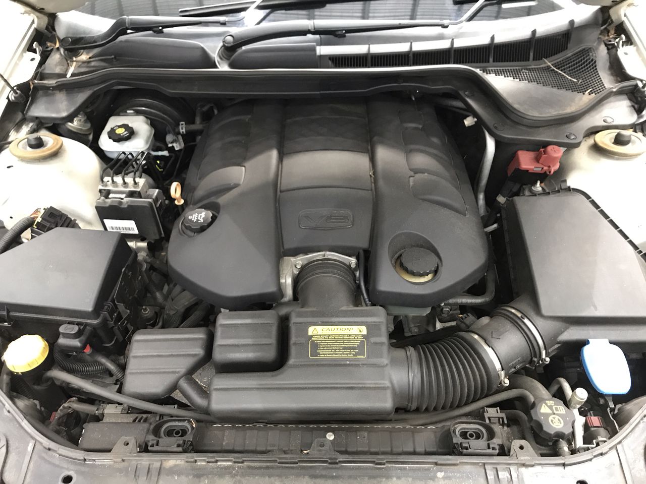 7-8mm Black Pearl with Rhinestones & CZ Rhodium Plated Bracelet