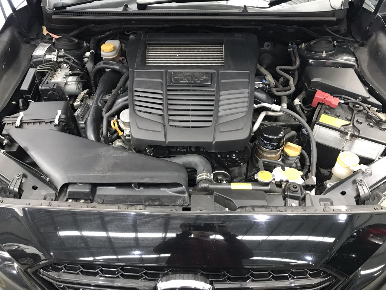 Set of 6 Danger Series 1 Gram 999.0 Pure Silver Coins (6 Grams Approx)