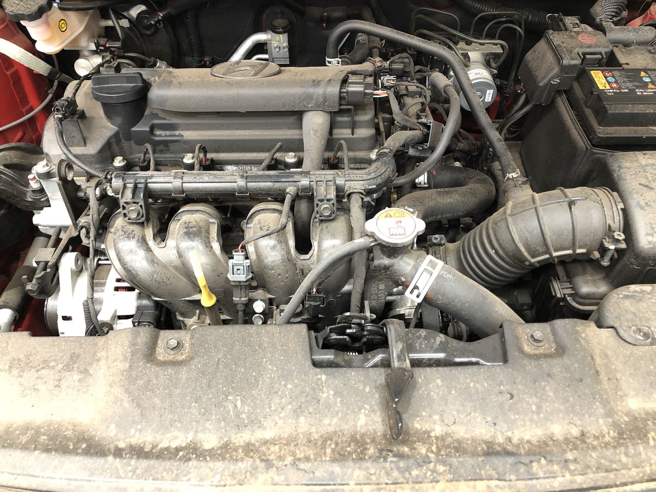 Tolsen Locking Pliers (Industrial)