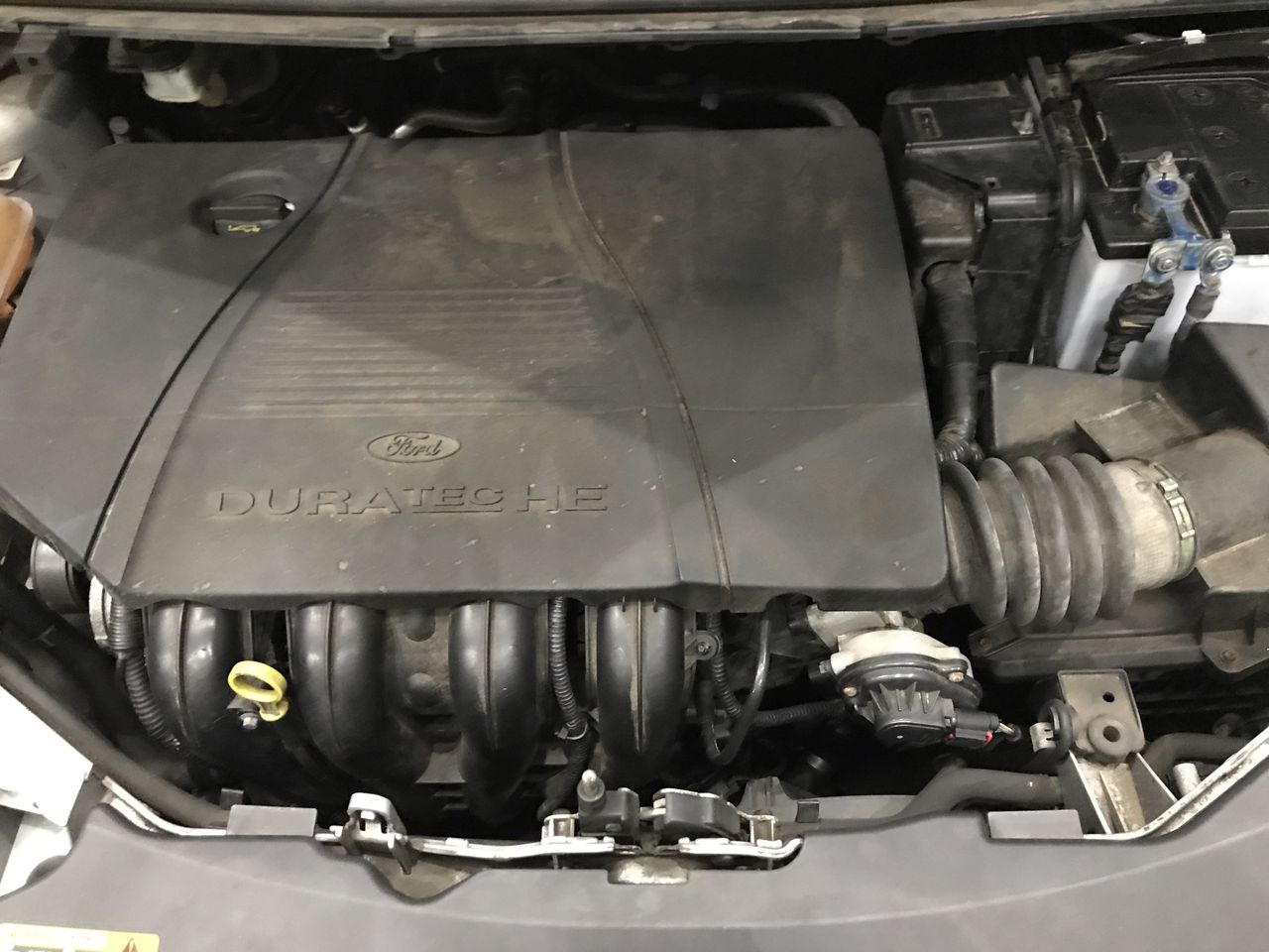 Tread Softly Slightly Sparkling Moscato NV (24x 330mL) SA