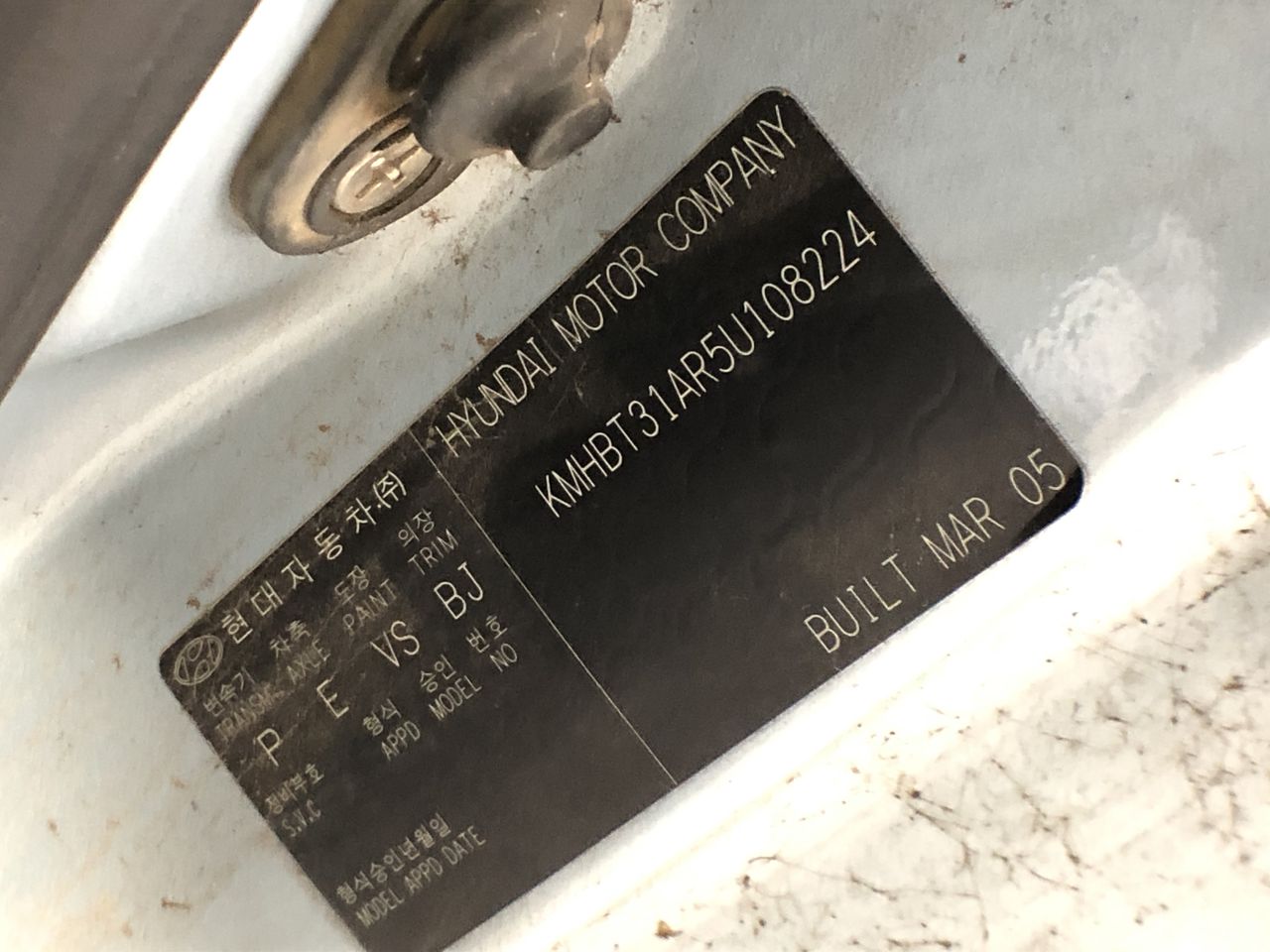 PharMed BPT Tubing, L/S 16, 25f