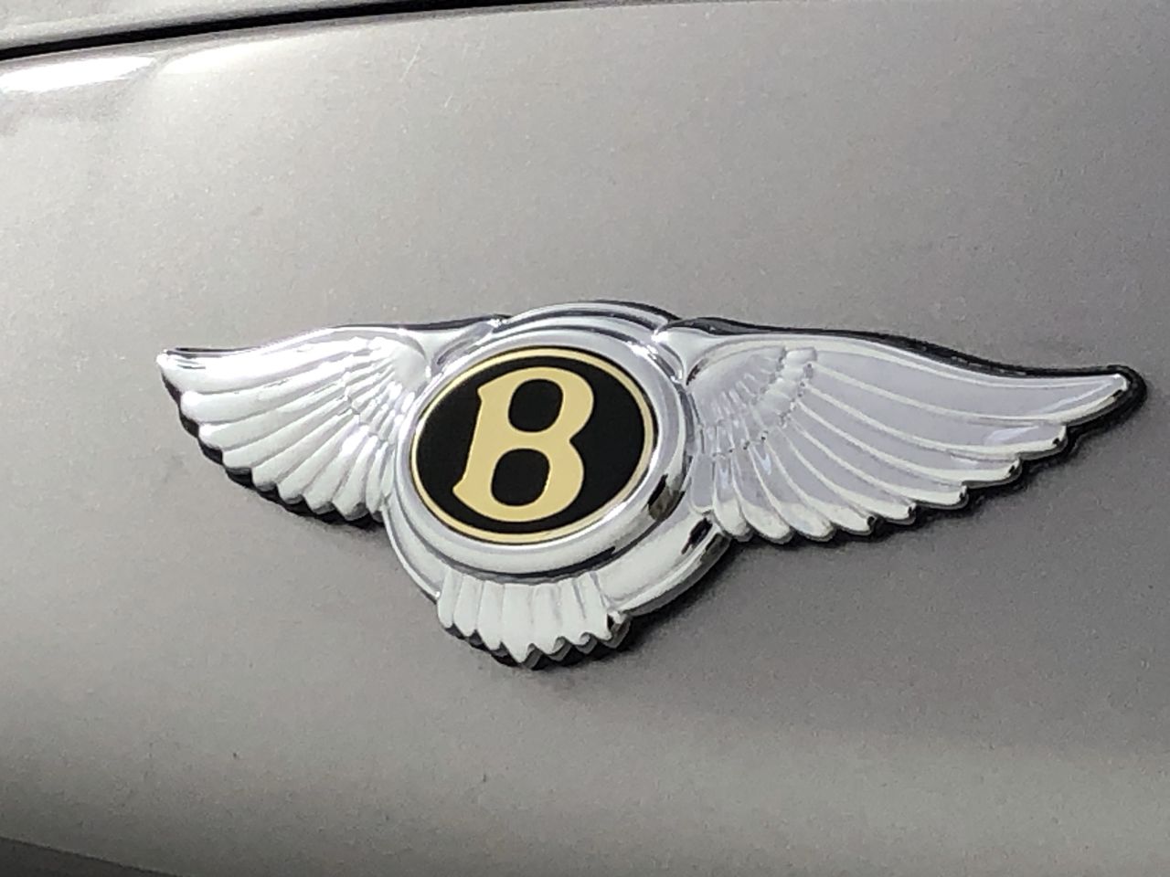 Thomson Estate Vine Dried Shiraz 2022 (12x 750mL) SA