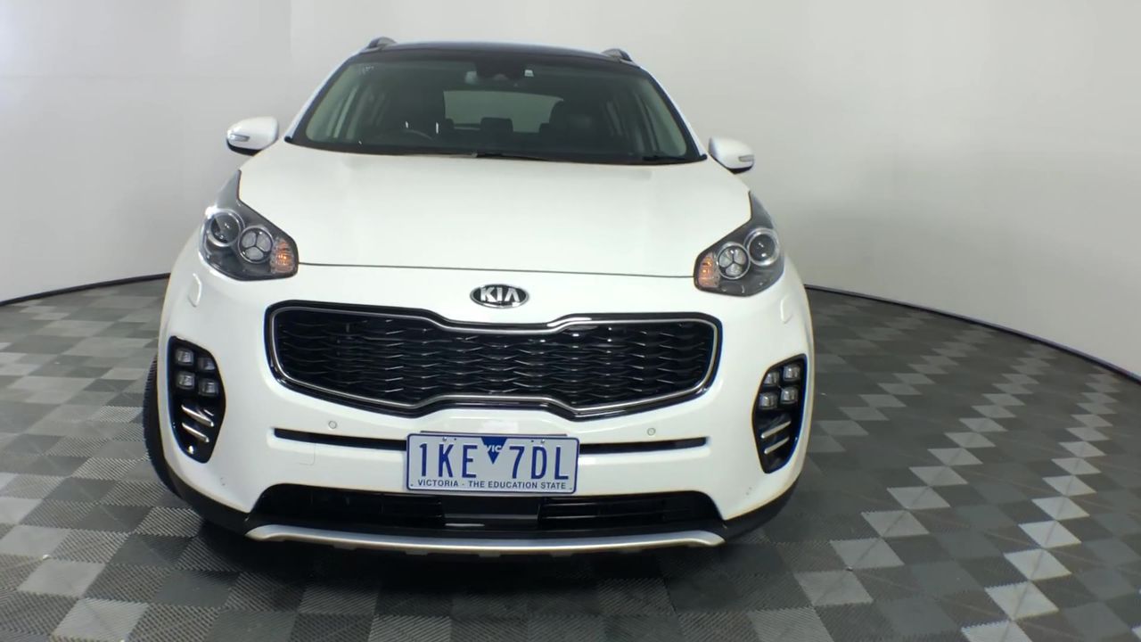 Set of 2 Large Wrought Iron Style Gates with Wildlife Scene (Unused)