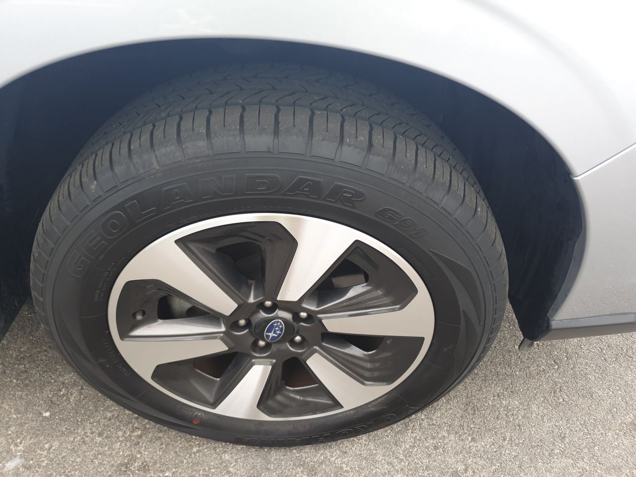 Stalking Horse Shiraz 2021 (12x 750mL) Langhorne Creek, SA