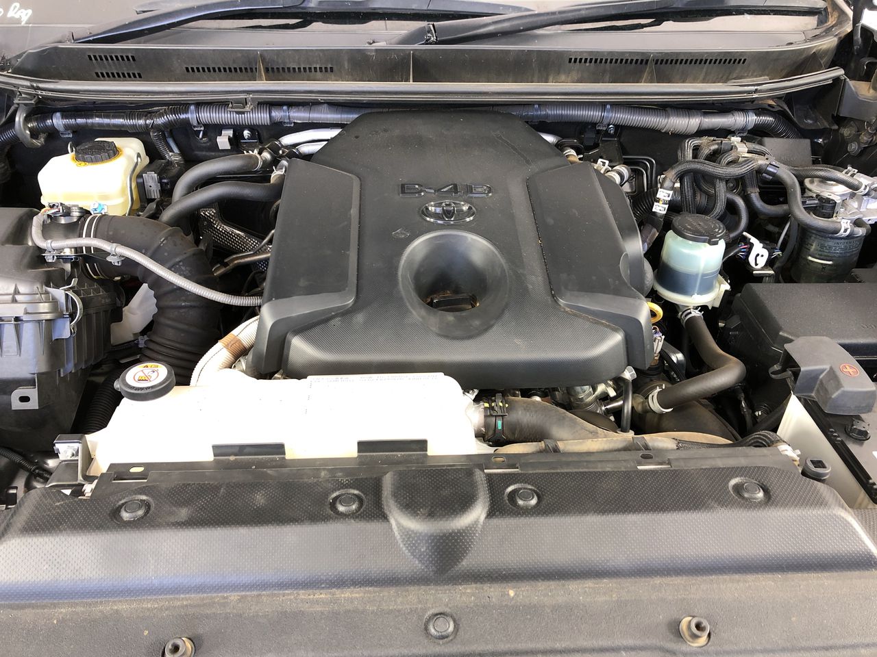 Salisbury Cabernet Sauvignon 2022 (12x 750mL) SEA