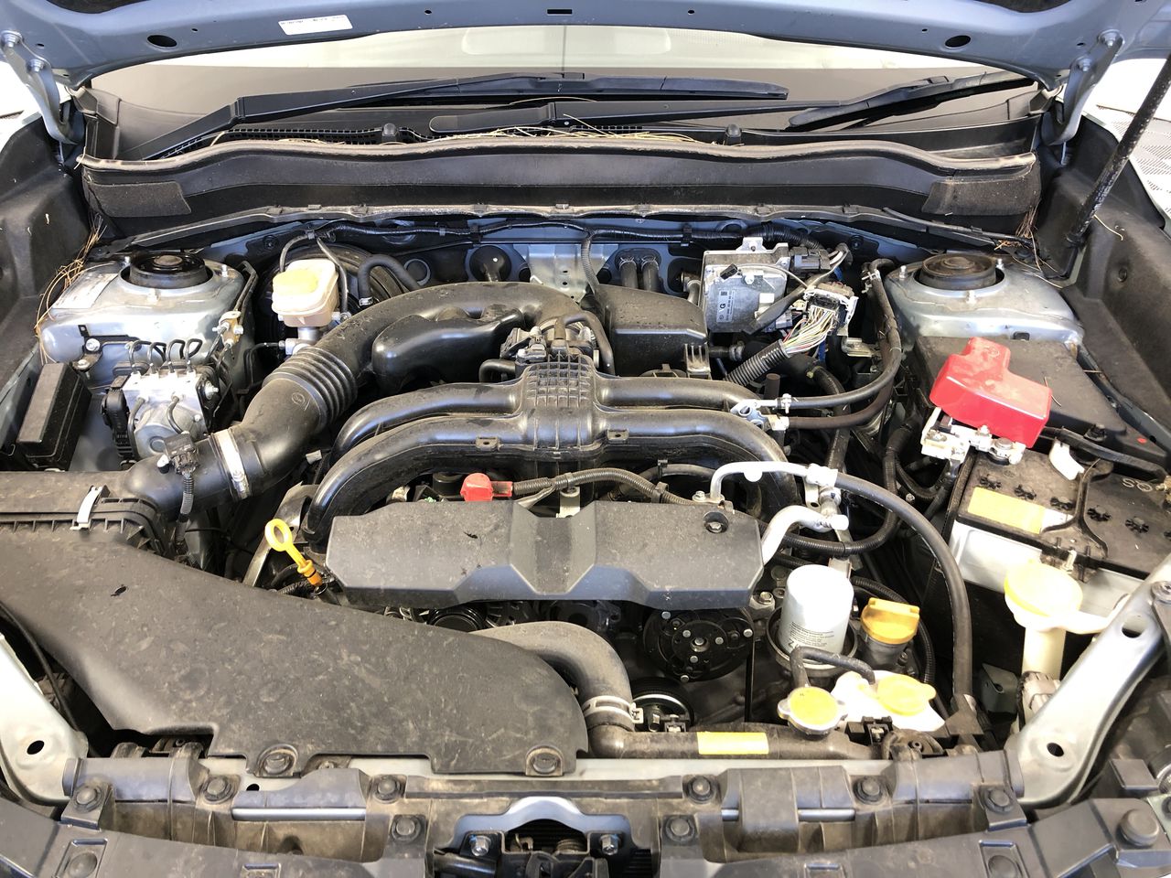 Landsworth Sauvignon Blanc 2025 (6x 750mL) Marlborough