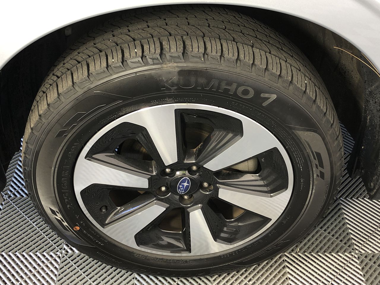 Wolf Blass Yellow Label Pinot Noir (6x 750mL). SA