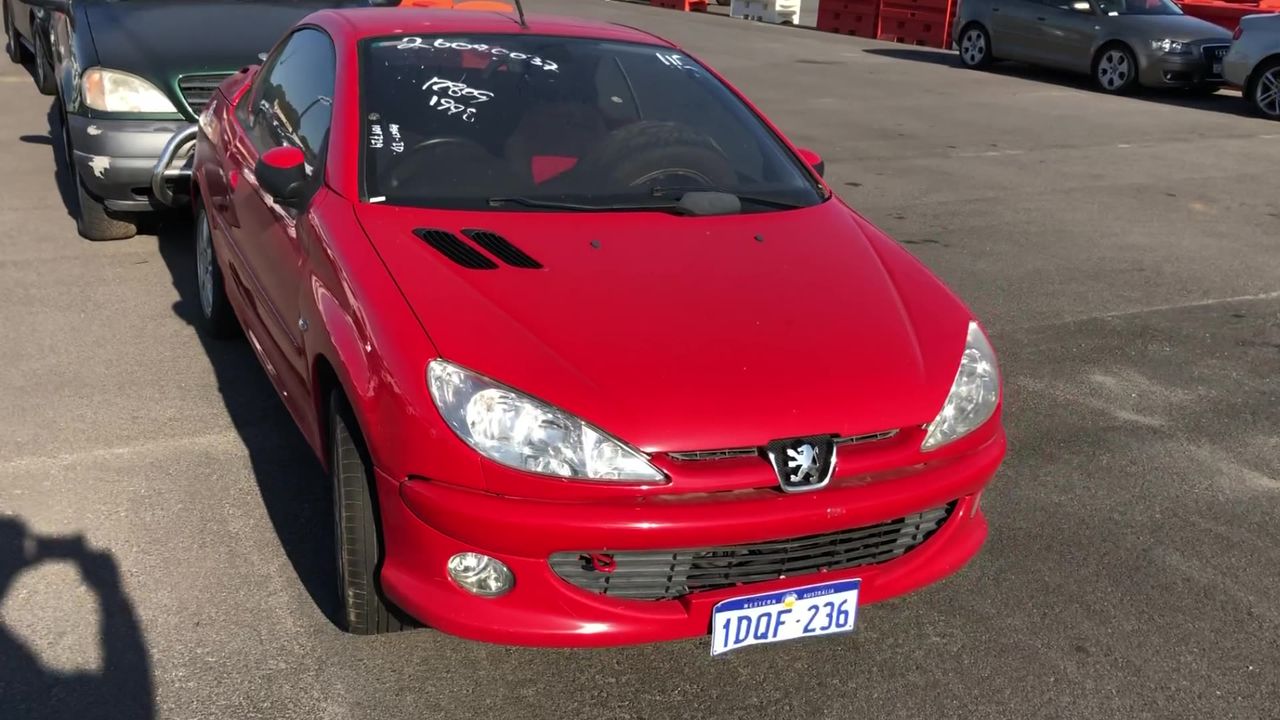 Wild Folk A Block Shiraz 2023 (12x 750mL) SA