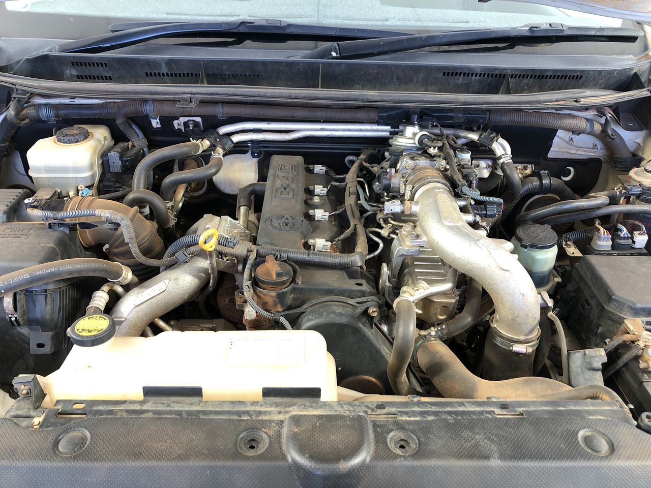 CHARLICHAIR Original Baby Shower Chair, White/ Orange, 21.2cm x 60.6cm x 50