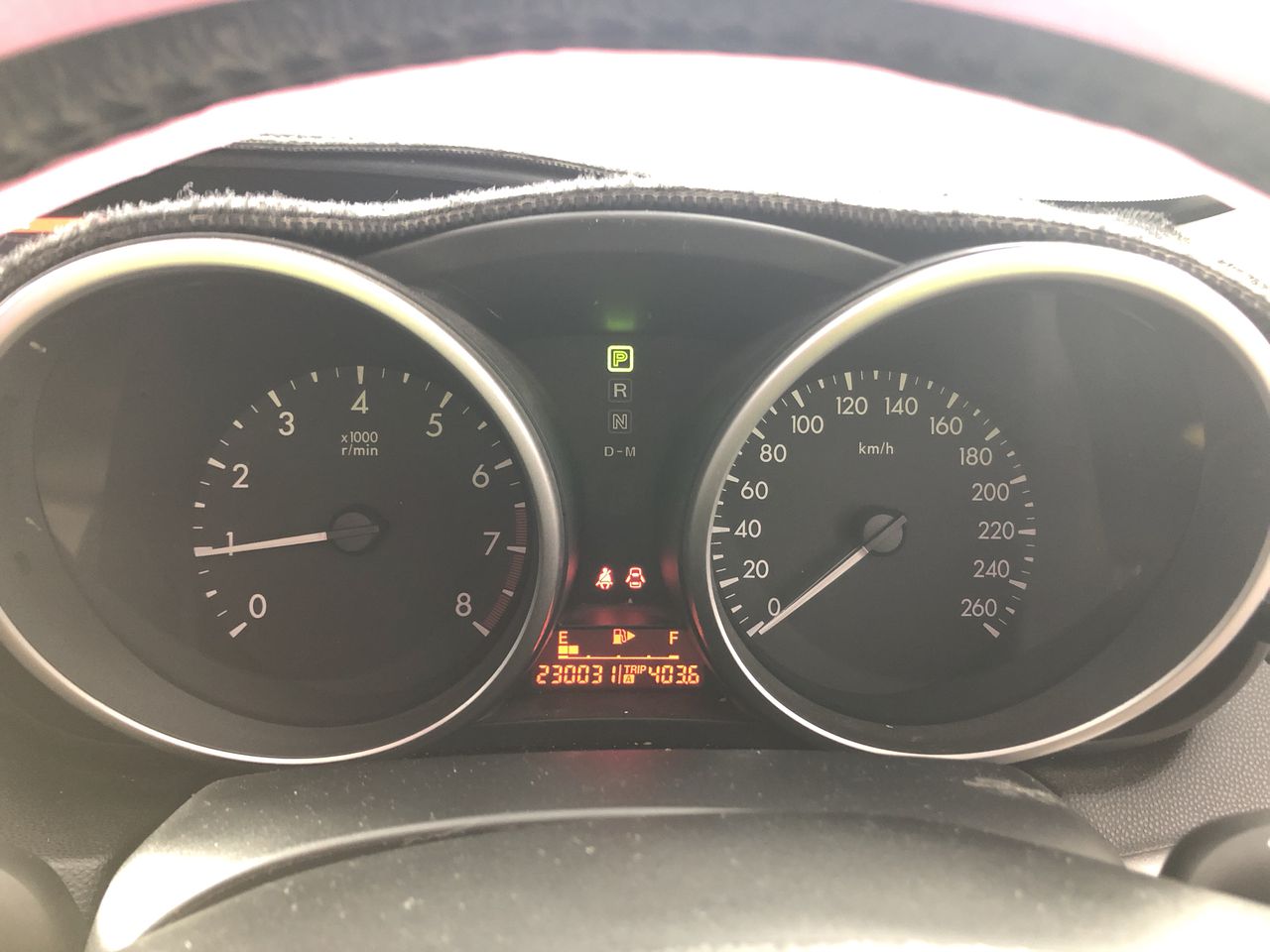 Cute Cat Earrings in Gold