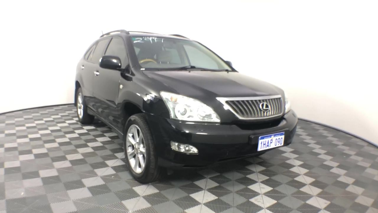 Stalking Horse Pinot Grigio 2025 (12x 750mL) Langhorne Creek