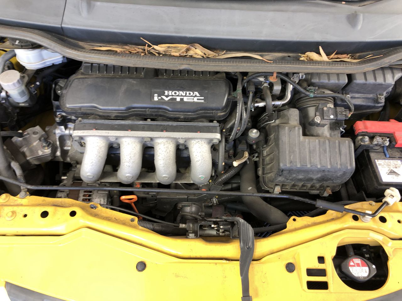 Chain Of Ponds Unchained Gruner Veltliner 2023 (12x 750 mL) SA