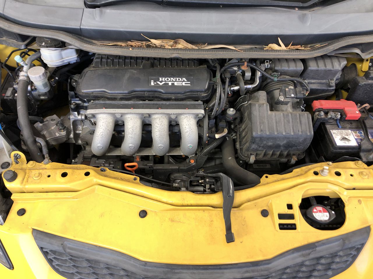 Cleanskin Grenache Shiraz Mataro 2024 (12x 750mL) SA