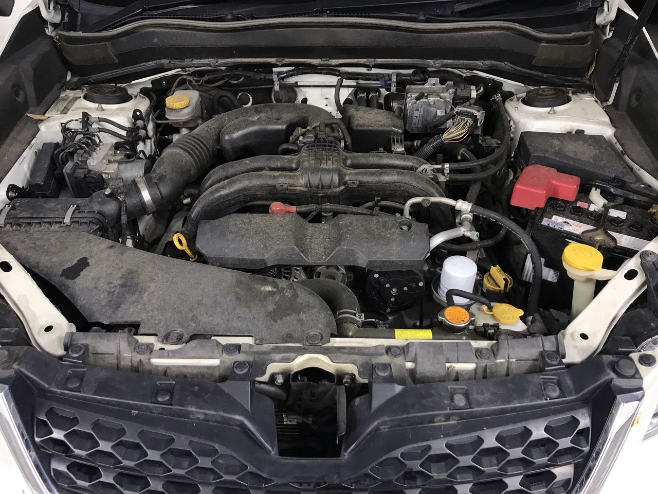 Fishbone Blue Merlot 2022 (6x 750mL) Margaret River