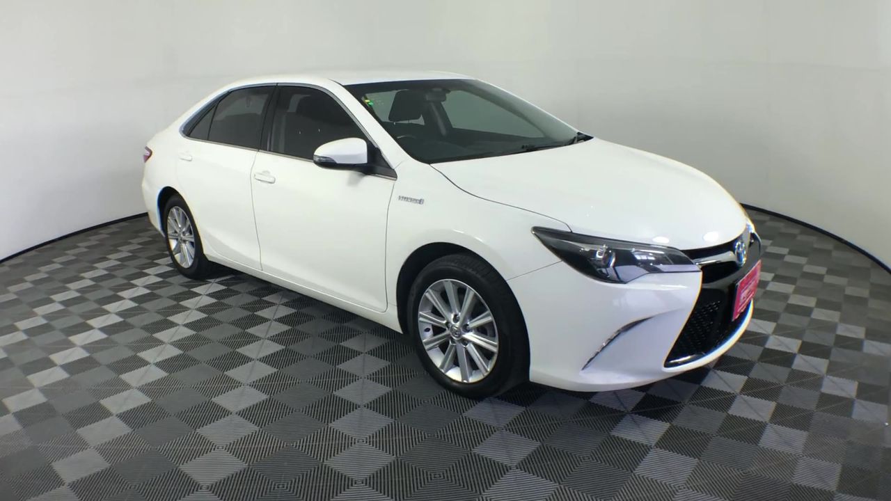 Designer Silver Ball Black Leather Bracelet